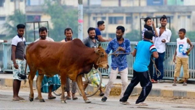 ঈদের দ্বিতীয় দিনেও পশু কোরবানি