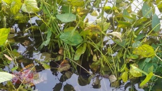 পানি নিষ্কাশনের ড্রেন বন্ধ করে দিয়েছে খানকা শরিফ