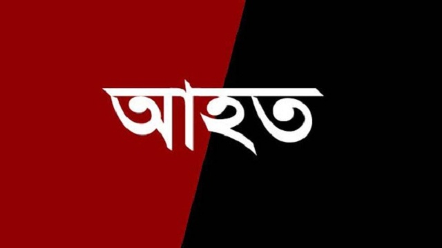 পাবনার চাটমোহরে প্রতিপক্ষের হামলায় ব্যবসায়ী দুই ভাই আহত