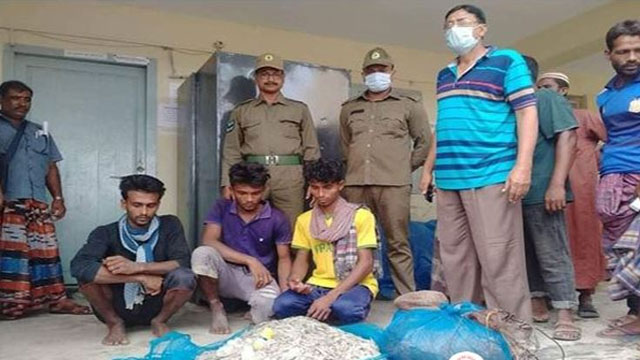 সাতক্ষীরা রেঞ্জে বিষ প্রয়োগে মাছ শিকারের অভিযোগে ৩ জেলে আটক