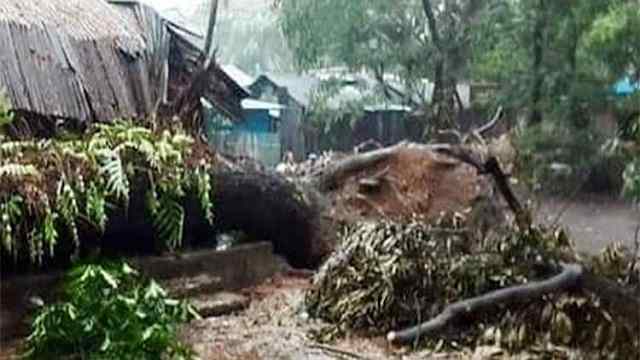 কালবৈশাখী ঝড়ে প্রাণ গেলো শ্বশুর-পুত্রবধূর