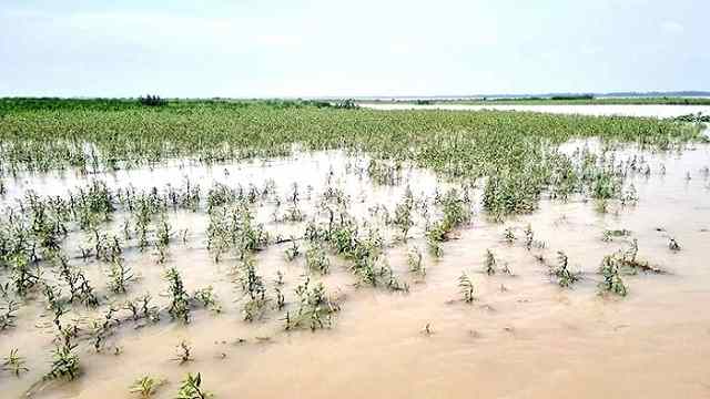 টাঙ্গাইলের সব নদ-নদীর পানি বিপৎসীমার নিচে