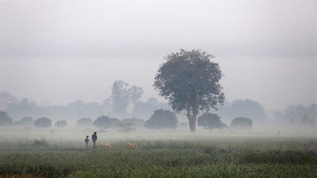 ঘন কুয়াশা দিনাজপুরে, সর্বনিম্ন তাপমাত্রা ১০.৫ ডিগ্রি