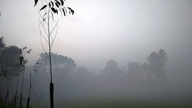 দেশের বিভিন্ন স্থানে পড়তে পারে ঘন কুয়াশা 