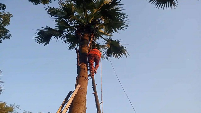 গাছের ডালে ঝুলে থাকা যুবক উদ্ধার