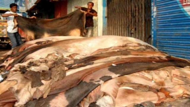 কোরবানির পশুর চামড়ার দাম নির্ধারণ