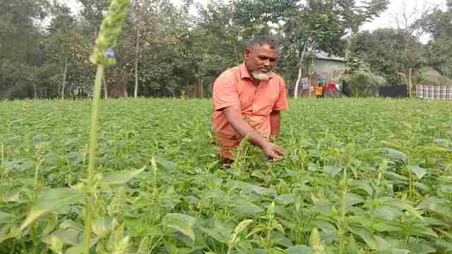 সংগৃহীত