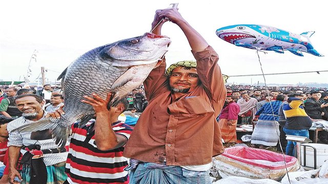  মাছের মেলায় জামাইদের ভিড়