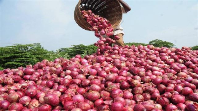 বৃষ্টির প্রভাবে পেঁয়াজের দাম বৃদ্ধি