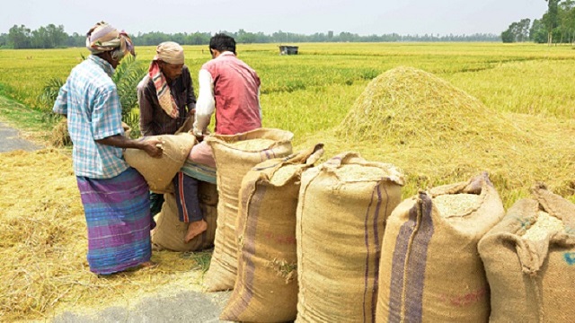 ধান-চাল সংগ্রহ