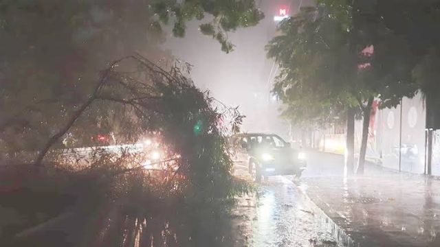 ঘূর্ণিঝড় সিত্রাং : ৩০ জায়গায় গাছ পড়ে রাস্তা বন্ধ