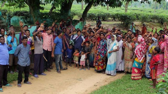 প্রধানমন্ত্রীর হস্তক্ষেপ চান চা শ্রমিকরা