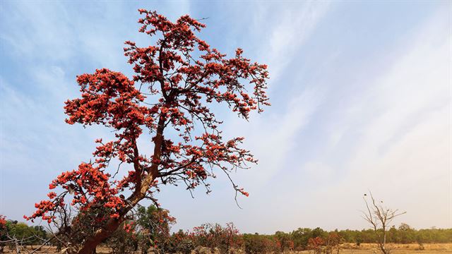 ৩ দিন থেকে বাড়তে পারে রাত ও দিনের তাপমাত্রা 