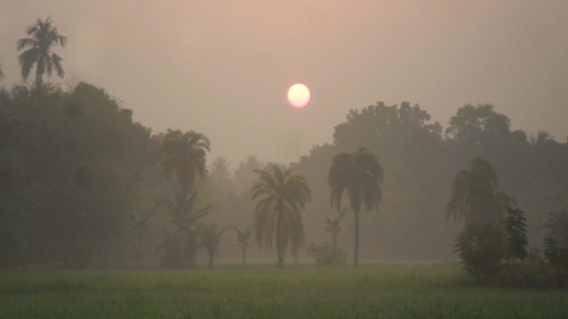 রাতে কমতে পারে তাপমাত্রা : আবহাওয়া অধিদপ্তর