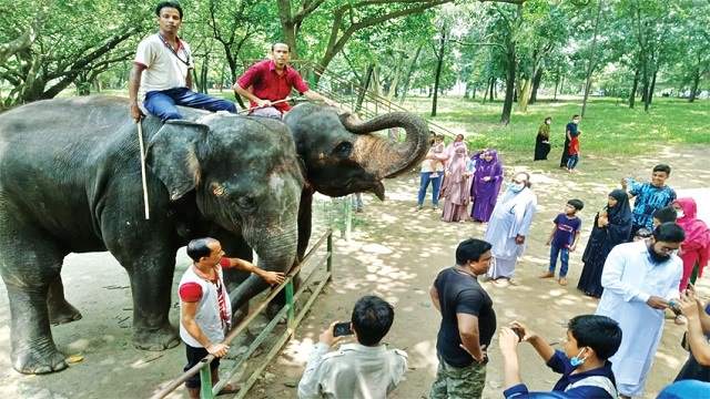 জাতীয় চিড়িয়াখানায় দর্শনার্থীদের ভিড়